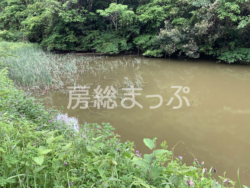 千葉県館山市の茂名ため池