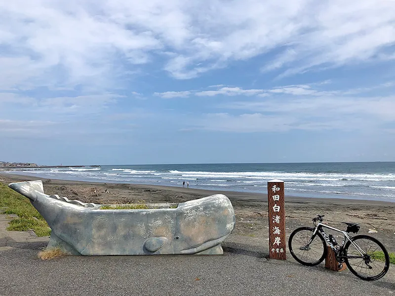 白渚海岸