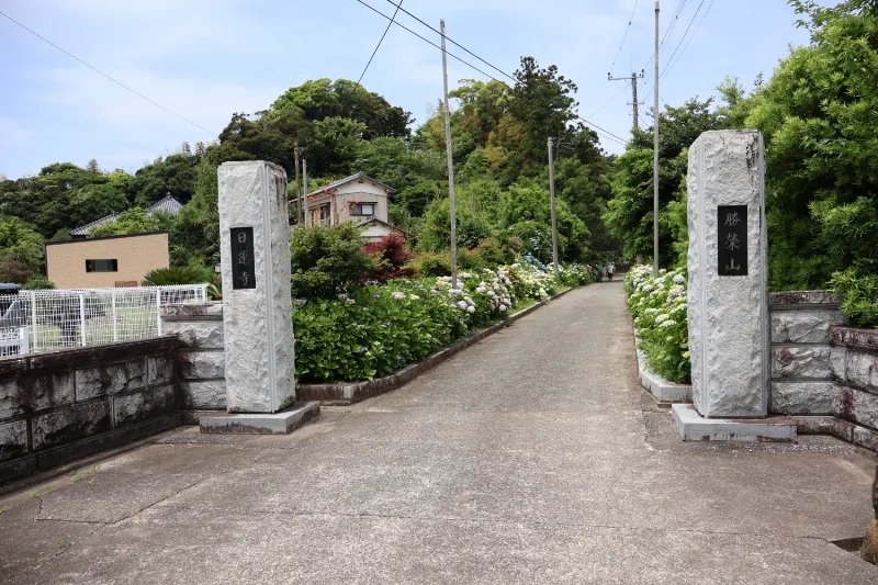 日運寺(あじさい寺):施設情報やアクセス