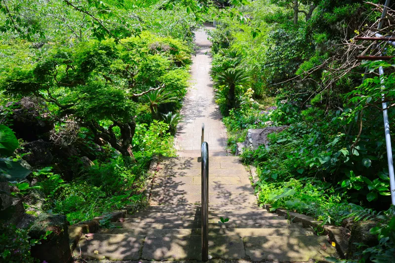 日運寺(あじさい寺):四季折々の植物も楽しめる